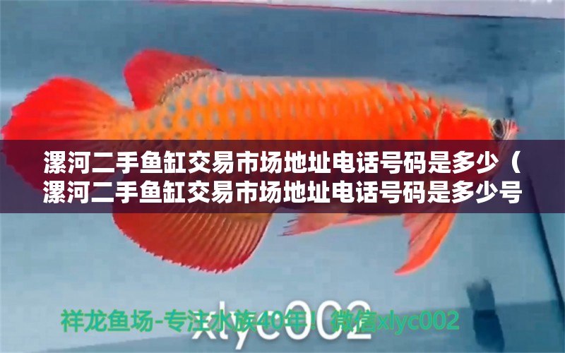 漯河二手魚缸交易市場地址電話號(hào)碼是多少（漯河二手魚缸交易市場地址電話號(hào)碼是多少號(hào)）