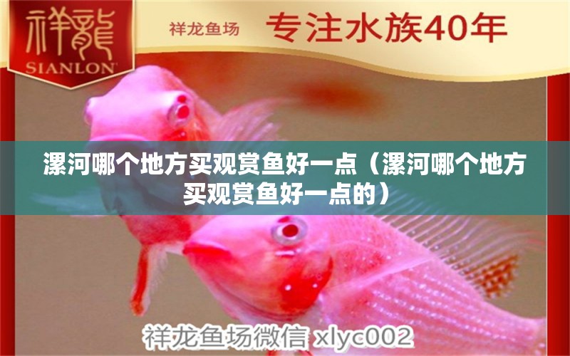 漯河哪個(gè)地方買(mǎi)觀(guān)賞魚(yú)好一點(diǎn)（漯河哪個(gè)地方買(mǎi)觀(guān)賞魚(yú)好一點(diǎn)的） 觀(guān)賞魚(yú)市場(chǎng)（混養(yǎng)魚(yú)）