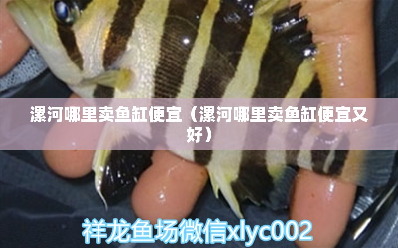 漯河哪里賣魚缸便宜（漯河哪里賣魚缸便宜又好） 其他品牌魚缸