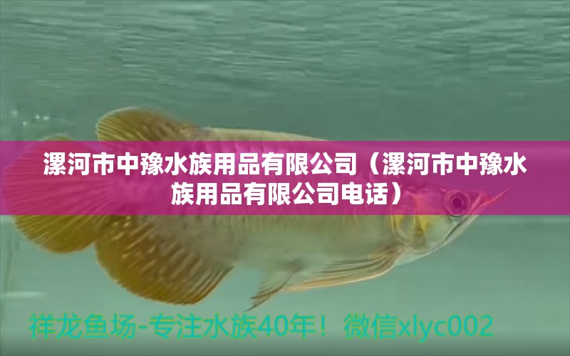 漯河市中豫水族用品有限公司（漯河市中豫水族用品有限公司電話） 水族用品