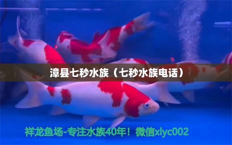 漳縣七秒水族（七秒水族電話） 全國水族館企業(yè)名錄