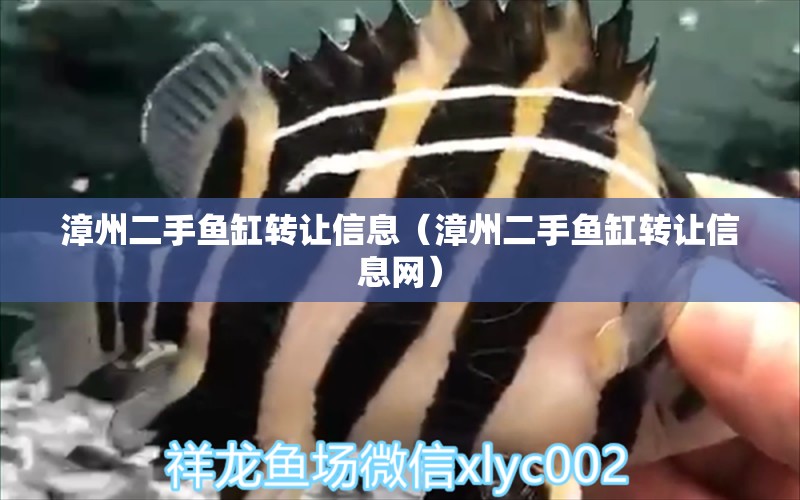 漳州二手魚缸轉(zhuǎn)讓信息（漳州二手魚缸轉(zhuǎn)讓信息網(wǎng)） 大嘴鯨魚