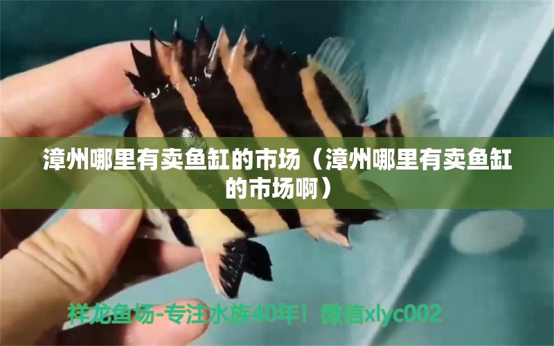 漳州哪里有賣魚缸的市場（漳州哪里有賣魚缸的市場?。? title=