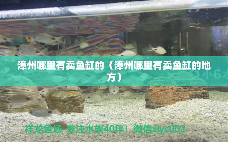 漳州哪里有賣魚缸的（漳州哪里有賣魚缸的地方）