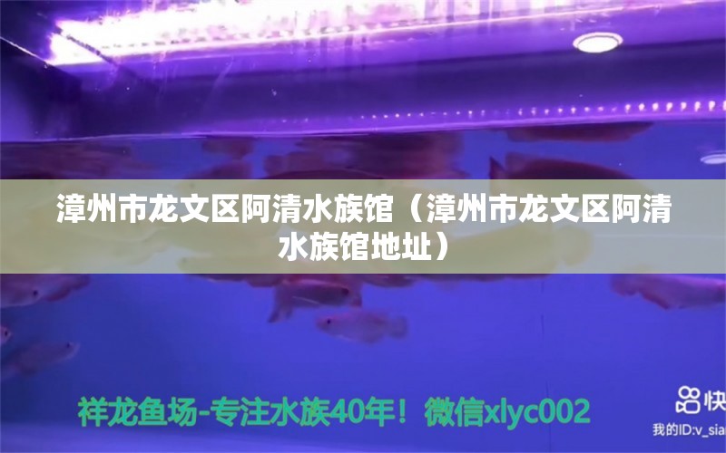 漳州市龍文區(qū)阿清水族館（漳州市龍文區(qū)阿清水族館地址） 全國(guó)水族館企業(yè)名錄