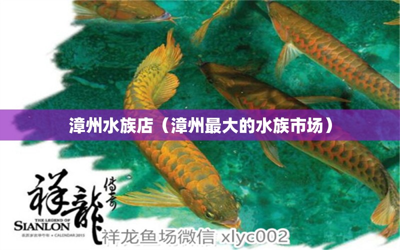 漳州水族店（漳州最大的水族市場(chǎng)）