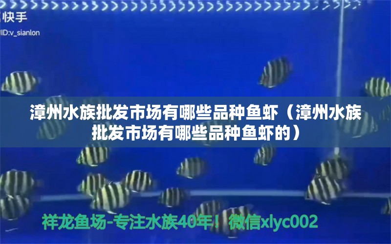 漳州水族批發(fā)市場(chǎng)有哪些品種魚蝦（漳州水族批發(fā)市場(chǎng)有哪些品種魚蝦的） 觀賞魚水族批發(fā)市場(chǎng)