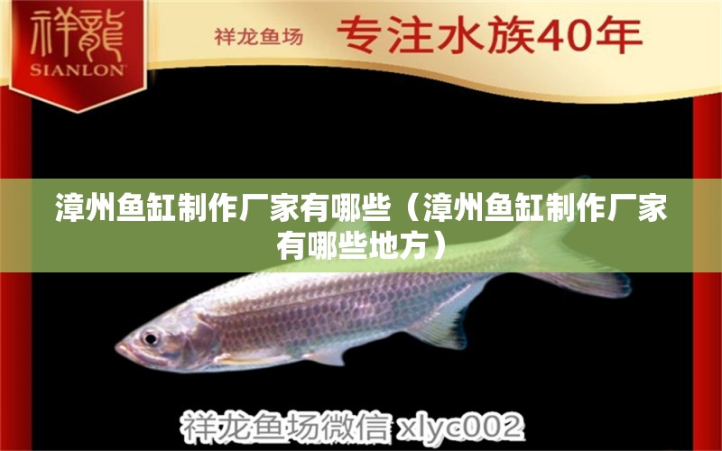 漳州魚缸制作廠家有哪些（漳州魚缸制作廠家有哪些地方）