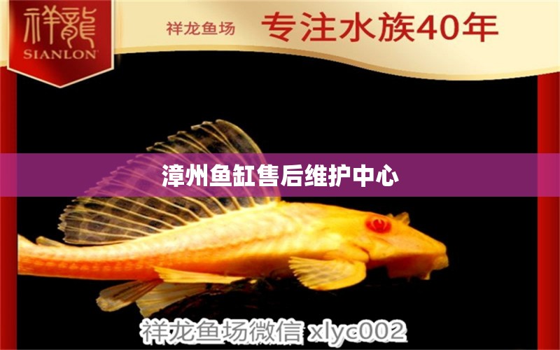 漳州魚缸售后維護(hù)中心