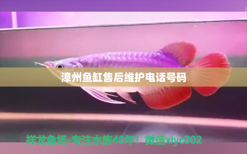 漳州魚缸售后維護電話號碼 其他品牌魚缸