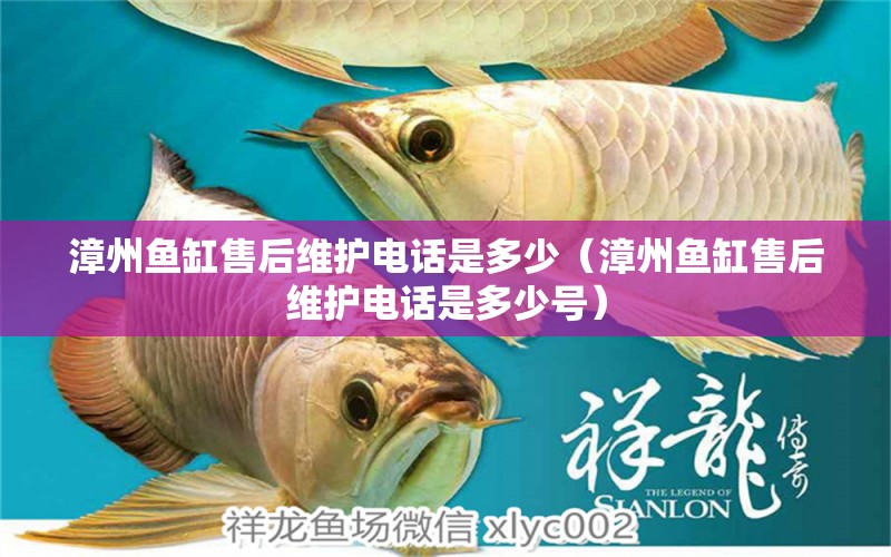 漳州魚缸售后維護(hù)電話是多少（漳州魚缸售后維護(hù)電話是多少號） 其他品牌魚缸