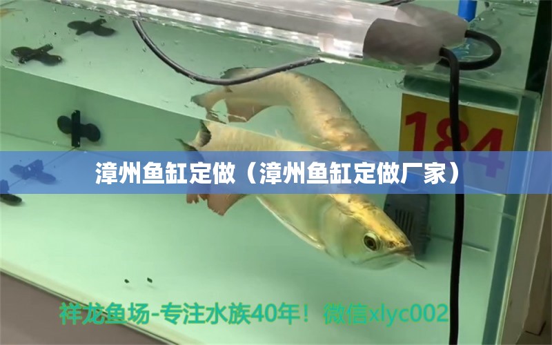 漳州魚缸定做（漳州魚缸定做廠家） 祥龍龍魚魚糧