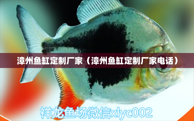 漳州魚缸定制廠家（漳州魚缸定制廠家電話）