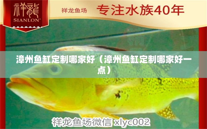 漳州魚缸定制哪家好（漳州魚缸定制哪家好一點） 其他品牌魚缸