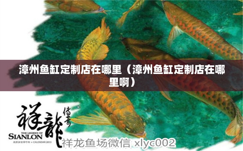 漳州魚缸定制店在哪里（漳州魚缸定制店在哪里?。? title=