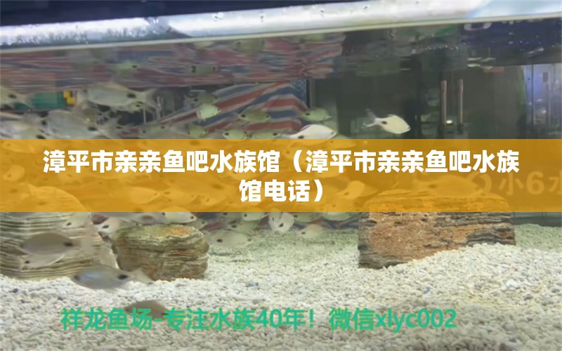 漳平市親親魚吧水族館（漳平市親親魚吧水族館電話）