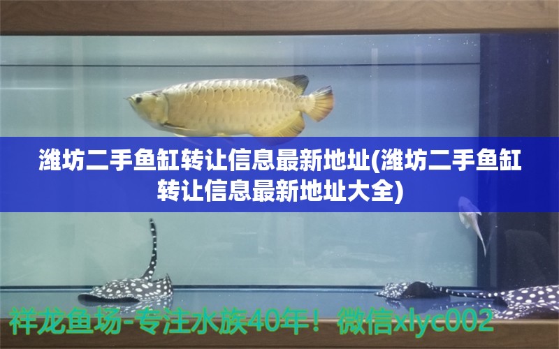 濰坊二手魚缸轉(zhuǎn)讓信息最新地址(濰坊二手魚缸轉(zhuǎn)讓信息最新地址大全) 魚缸水泵