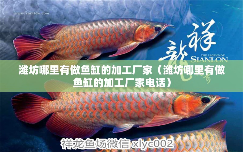 濰坊哪里有做魚缸的加工廠家（濰坊哪里有做魚缸的加工廠家電話）