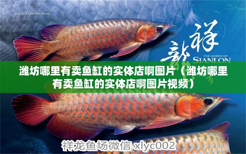 濰坊哪里有賣魚缸的實體店啊圖片（濰坊哪里有賣魚缸的實體店啊圖片視頻） 紅龍專用魚糧飼料