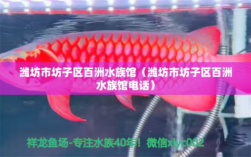 濰坊市坊子區(qū)百洲水族館（濰坊市坊子區(qū)百洲水族館電話）