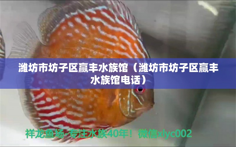 濰坊市坊子區(qū)贏豐水族館（濰坊市坊子區(qū)贏豐水族館電話）