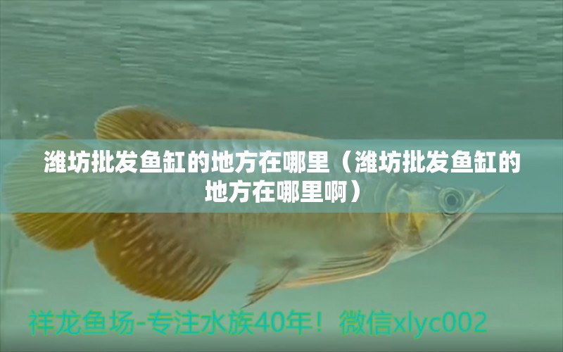 濰坊批發(fā)魚缸的地方在哪里（濰坊批發(fā)魚缸的地方在哪里?。?其他品牌魚缸