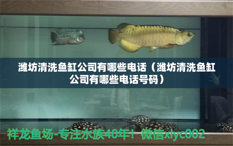 濰坊清洗魚缸公司有哪些電話（濰坊清洗魚缸公司有哪些電話號碼） 祥龍魚場