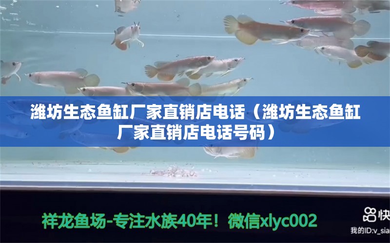 濰坊生態(tài)魚缸廠家直銷店電話（濰坊生態(tài)魚缸廠家直銷店電話號碼）