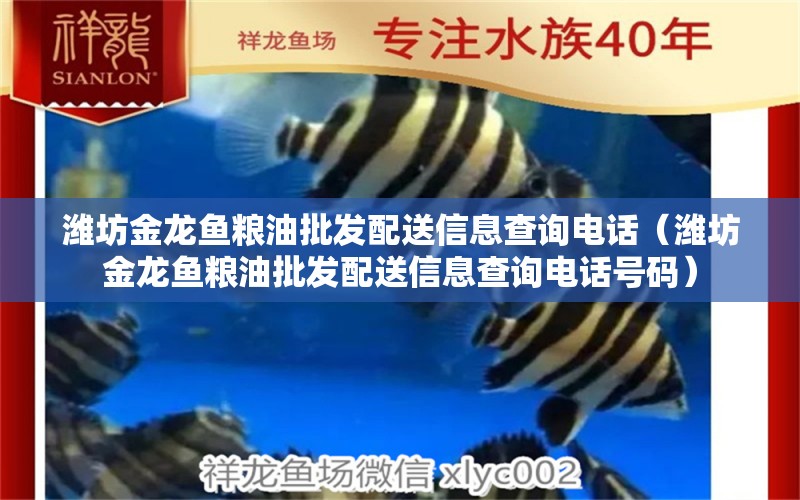 濰坊金龍魚(yú)糧油批發(fā)配送信息查詢(xún)電話（濰坊金龍魚(yú)糧油批發(fā)配送信息查詢(xún)電話號(hào)碼） 金龍魚(yú)糧