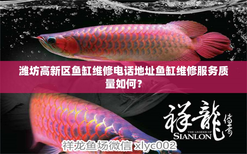 濰坊高新區(qū)魚缸維修電話地址魚缸維修服務質量如何？ 福滿鉆魚