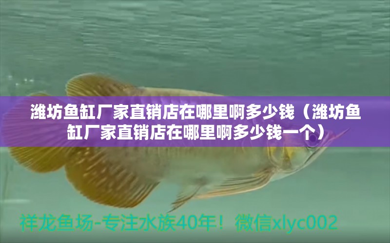 濰坊魚缸廠家直銷店在哪里啊多少錢（濰坊魚缸廠家直銷店在哪里啊多少錢一個）