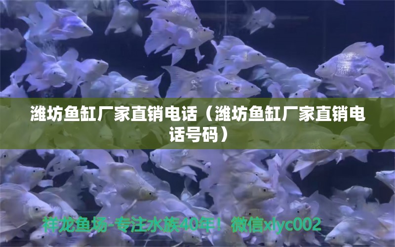 濰坊魚(yú)缸廠家直銷電話（濰坊魚(yú)缸廠家直銷電話號(hào)碼）