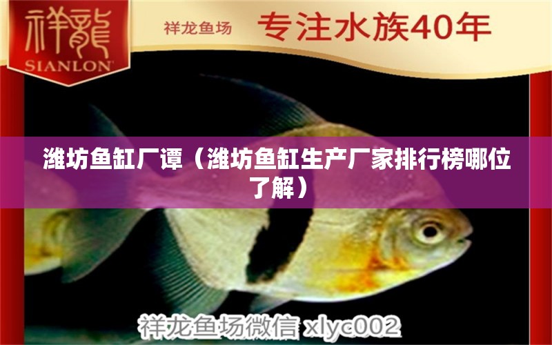 濰坊魚缸廠譚（濰坊魚缸生產(chǎn)廠家排行榜哪位了解） 斑馬鴨嘴魚 第1張