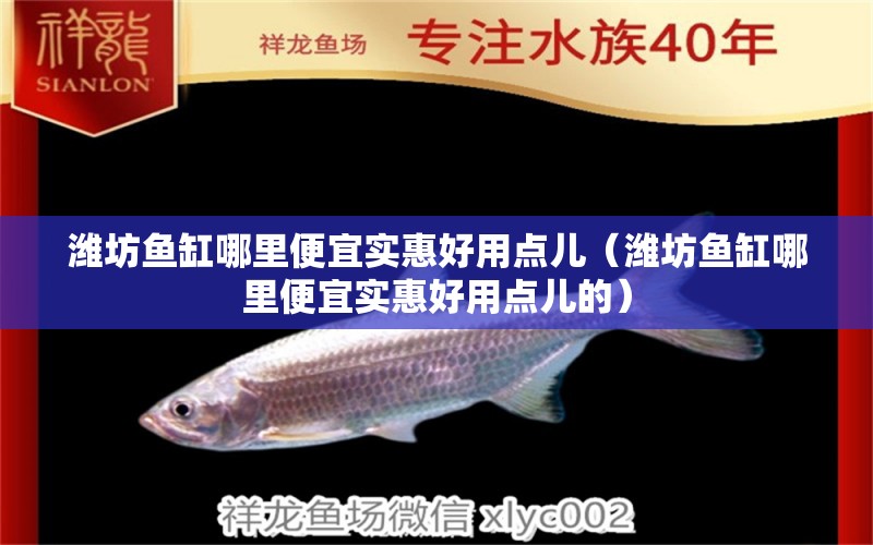 濰坊魚缸哪里便宜實惠好用點兒（濰坊魚缸哪里便宜實惠好用點兒的） 祥龍魚場