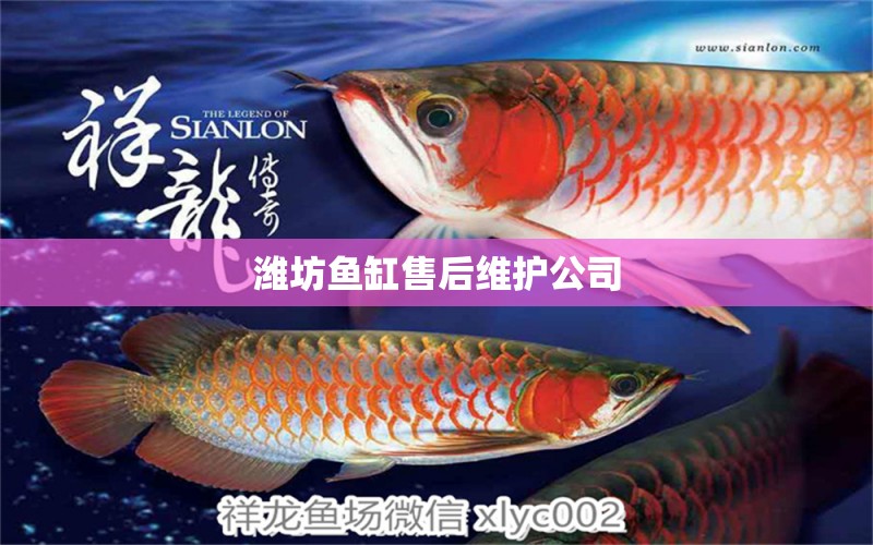 濰坊魚缸售后維護(hù)公司