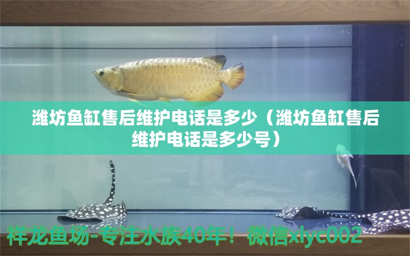 濰坊魚缸售后維護(hù)電話是多少（濰坊魚缸售后維護(hù)電話是多少號(hào)） 其他品牌魚缸