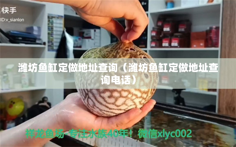 濰坊魚缸定做地址查詢（濰坊魚缸定做地址查詢電話） 其他品牌魚缸