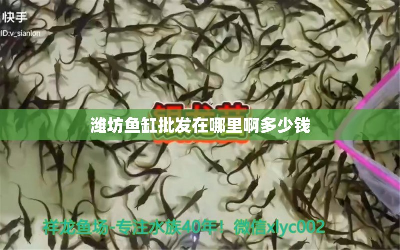 濰坊魚缸批發(fā)在哪里啊多少錢