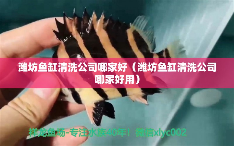 濰坊魚缸清洗公司哪家好（濰坊魚缸清洗公司哪家好用） 藍帆三間魚