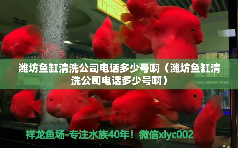 濰坊魚缸清洗公司電話多少號(hào)?。H坊魚缸清洗公司電話多少號(hào)啊）