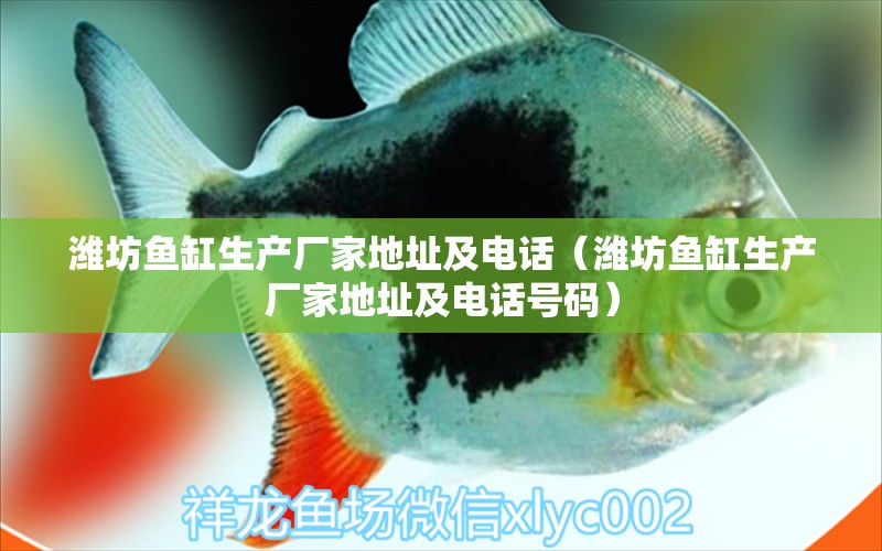 濰坊魚(yú)缸生產(chǎn)廠家地址及電話（濰坊魚(yú)缸生產(chǎn)廠家地址及電話號(hào)碼）