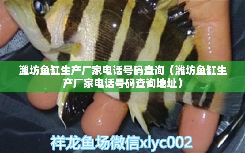 濰坊魚(yú)缸生產(chǎn)廠家電話號(hào)碼查詢（濰坊魚(yú)缸生產(chǎn)廠家電話號(hào)碼查詢地址）