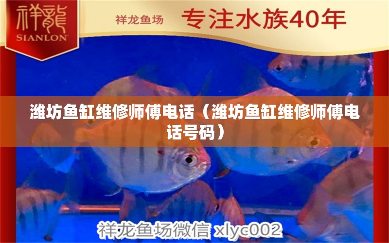 濰坊魚(yú)缸維修師傅電話（濰坊魚(yú)缸維修師傅電話號(hào)碼） 其他品牌魚(yú)缸