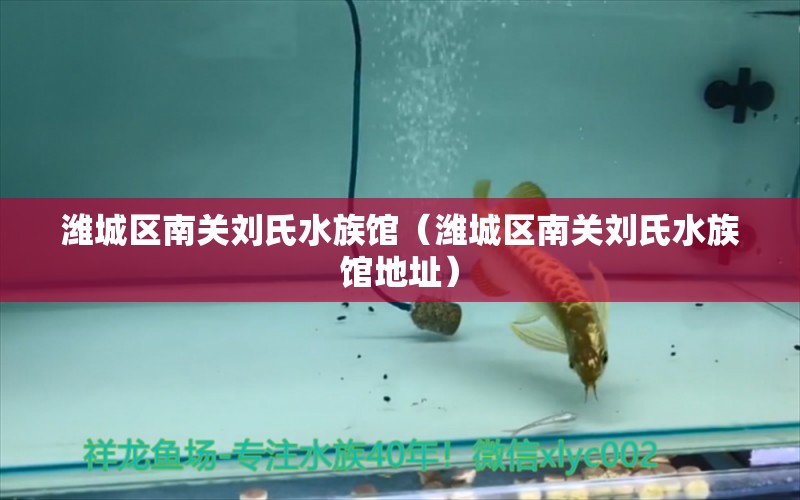 濰城區(qū)南關劉氏水族館（濰城區(qū)南關劉氏水族館地址）