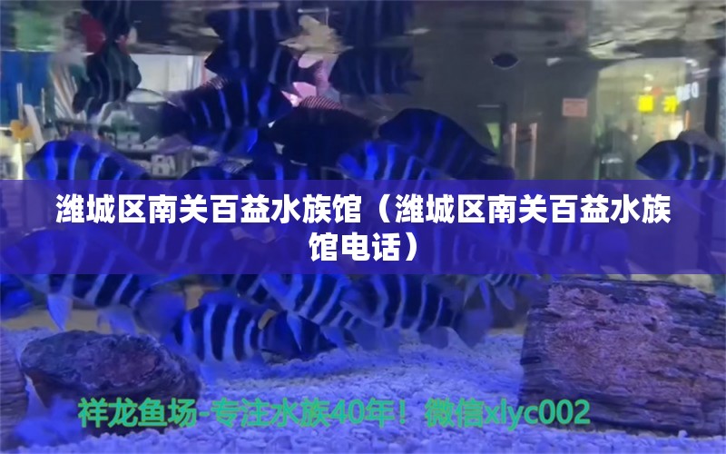 濰城區(qū)南關百益水族館（濰城區(qū)南關百益水族館電話）