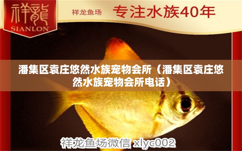 潘集區(qū)袁莊悠然水族寵物會所（潘集區(qū)袁莊悠然水族寵物會所電話）