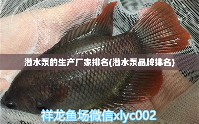 潛水泵的生產(chǎn)廠家排名(潛水泵品牌排名)