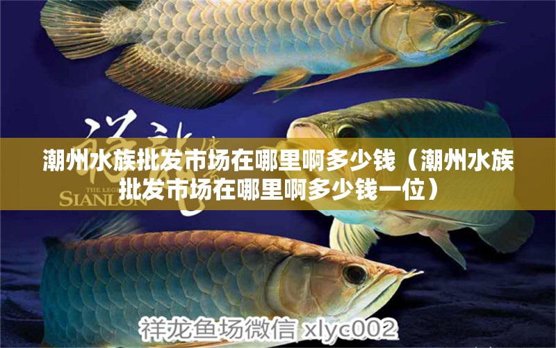 潮州水族批發(fā)市場在哪里啊多少錢（潮州水族批發(fā)市場在哪里啊多少錢一位）