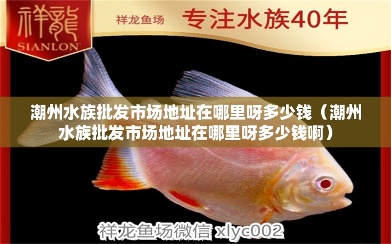 潮州水族批發(fā)市場地址在哪里呀多少錢（潮州水族批發(fā)市場地址在哪里呀多少錢?。?觀賞魚水族批發(fā)市場