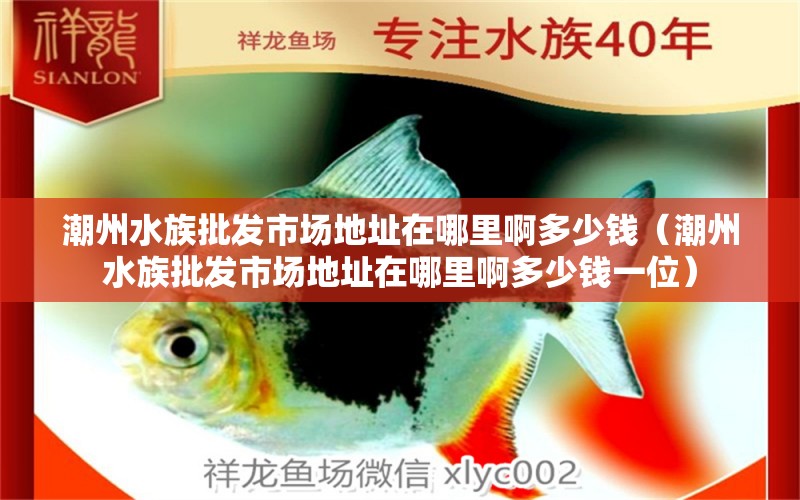 潮州水族批發(fā)市場(chǎng)地址在哪里啊多少錢(qián)（潮州水族批發(fā)市場(chǎng)地址在哪里啊多少錢(qián)一位） 觀賞魚(yú)水族批發(fā)市場(chǎng)